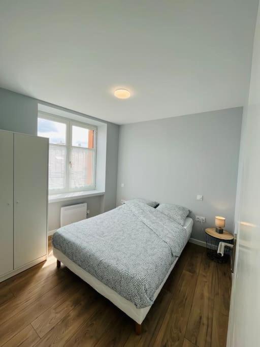 Joli T2 Centre-Ville, Calme Et Lumineux Cote Cour Saint-Etienne  Eksteriør billede